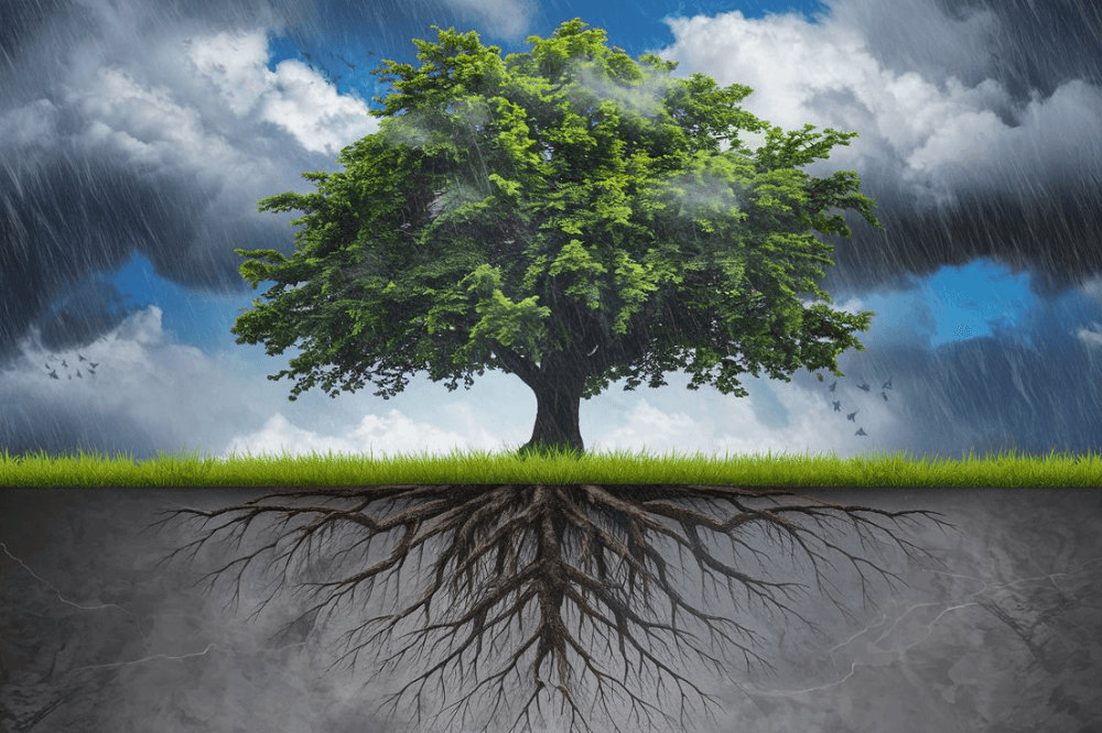 A visual representation of emotional resilience featuring a flourishing tree with deep roots anchoring it during a storm.